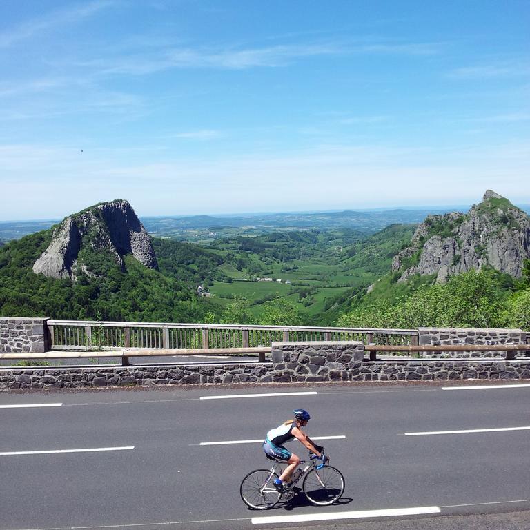 Les Camelias Διαμέρισμα Le Mont-Dore Εξωτερικό φωτογραφία